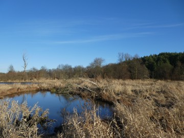 Wiosenne dni kalendarzowej zimy, <p>W.Pogorzelska</p>